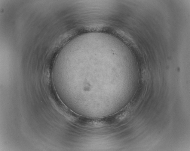 X0000074300498200609151945