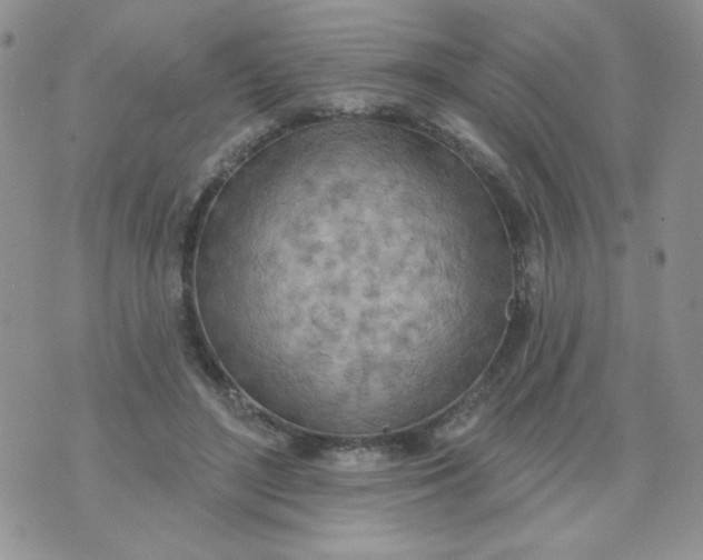 X0000074300500200609151945