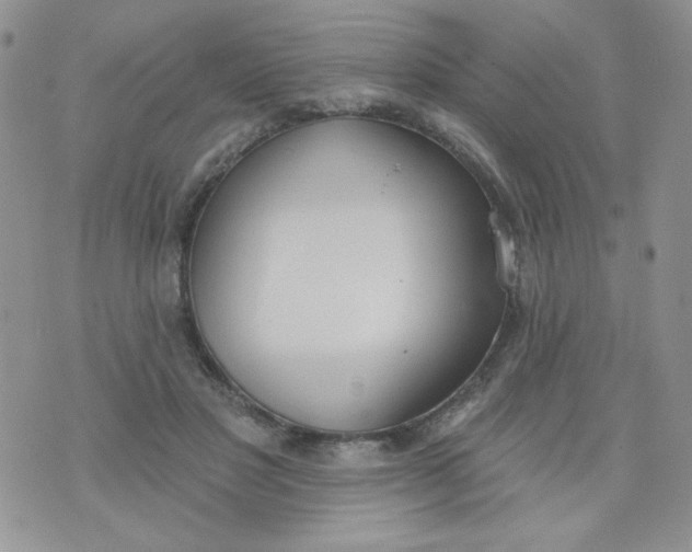 X0000074300501200609151945