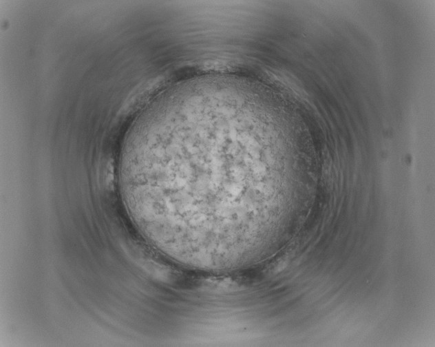 X0000074300502200609151945