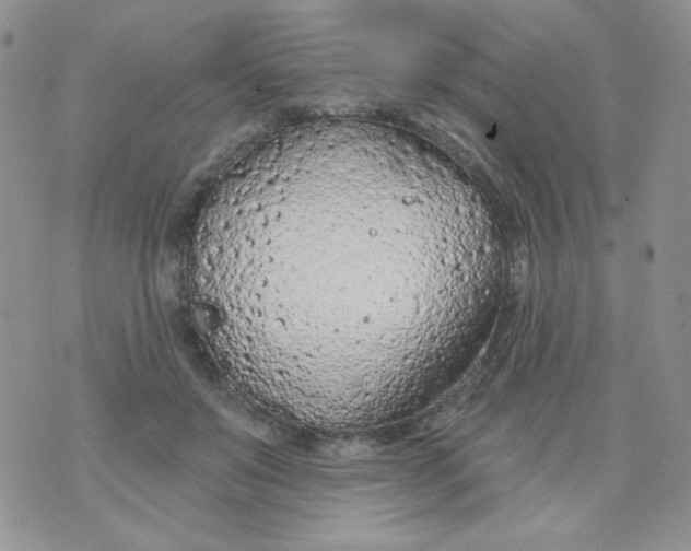 X0000074300503200609151945