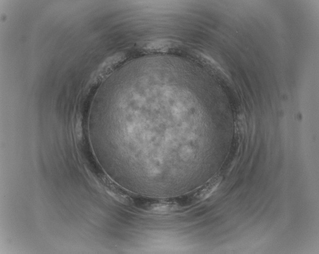 X0000074300504200609151945