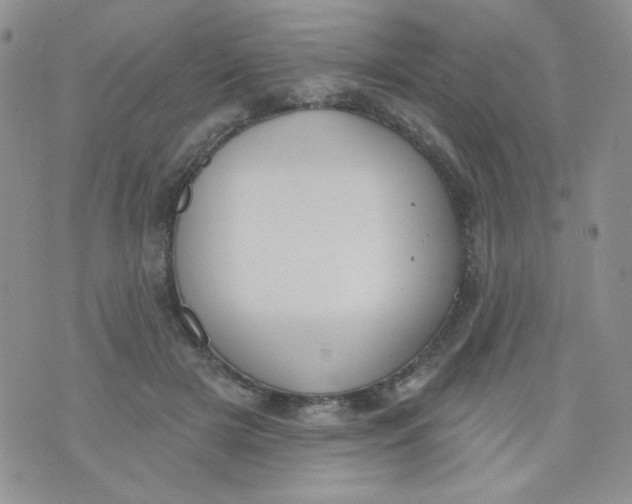 X0000074300505200609151945