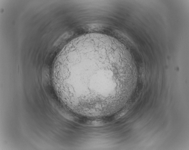 X0000074300506200609151945