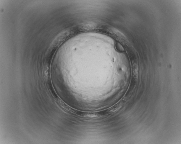 X0000074300507200609151945