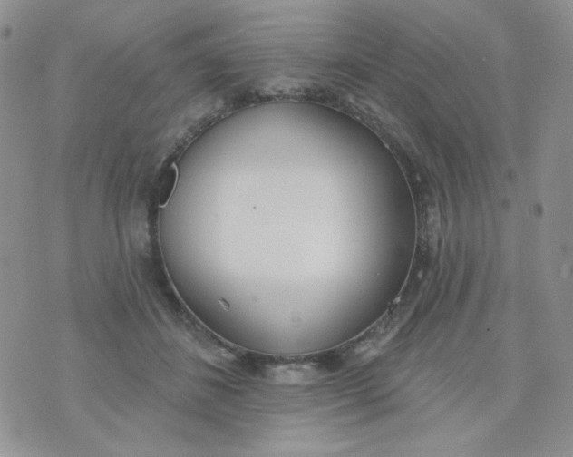 X0000074300508200609151945