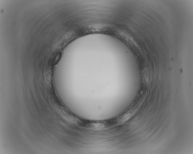 X0000074300509200609151945