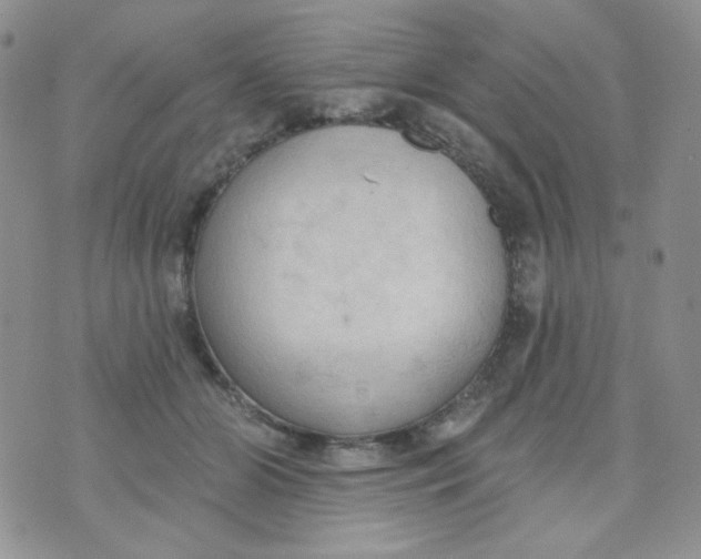 X0000074300510200609151945