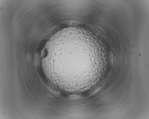 X0000074300511200609151945