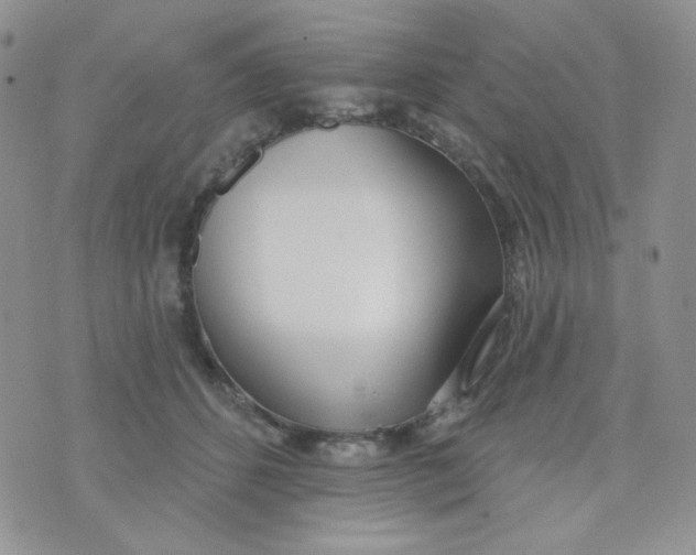 X0000074300512200609151945