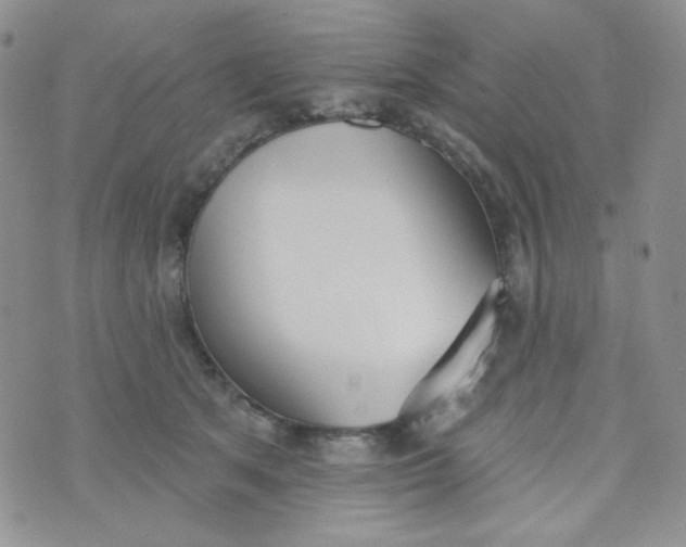 X0000074300513200609151945