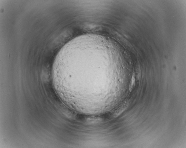 X0000074300515200609151945