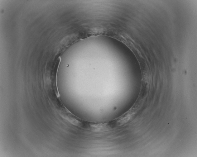 X0000074300516200609151945