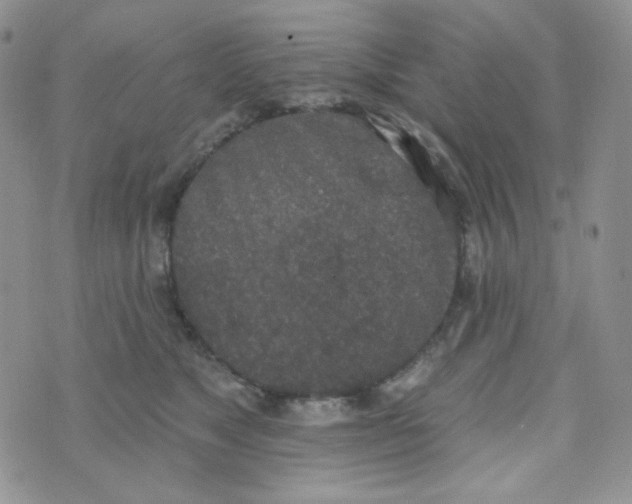 X0000074300517200609151945