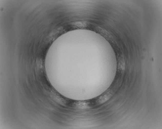 X0000074300518200609151945