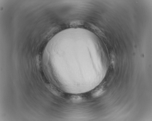 X0000074300519200609151945