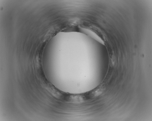 X0000074300520200609151945