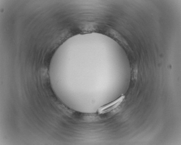 X0000074300521200609151945