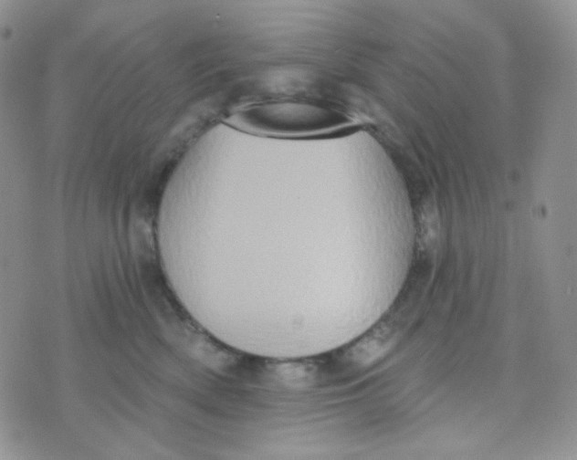 X0000074300522200609151945