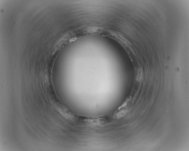 X0000074300524200609151945