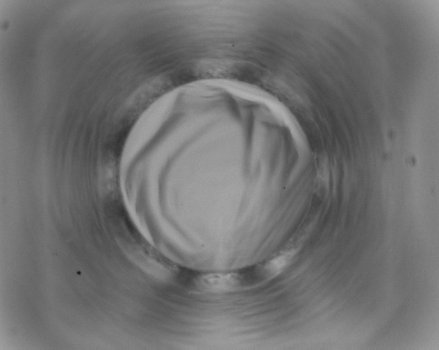 X0000074300526200609151945