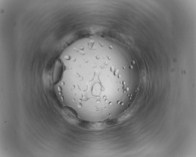 X0000074300527200609151945