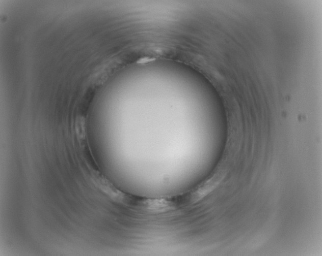 X0000074300528200609151945