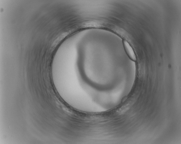 X0000074300529200609151944