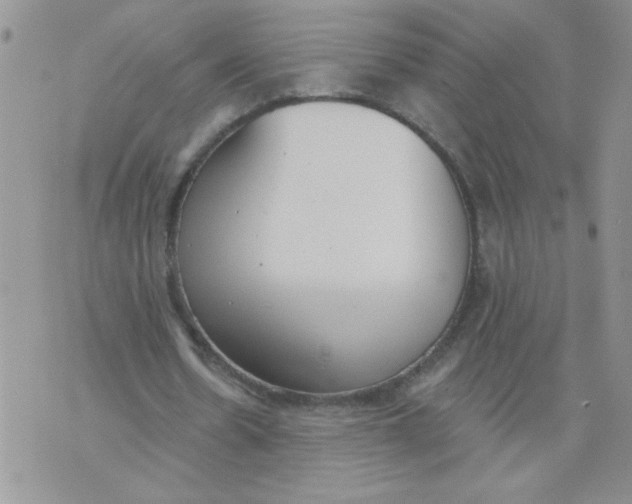 X0000074300530200609151944