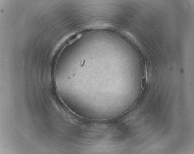 X0000074300531200609151944