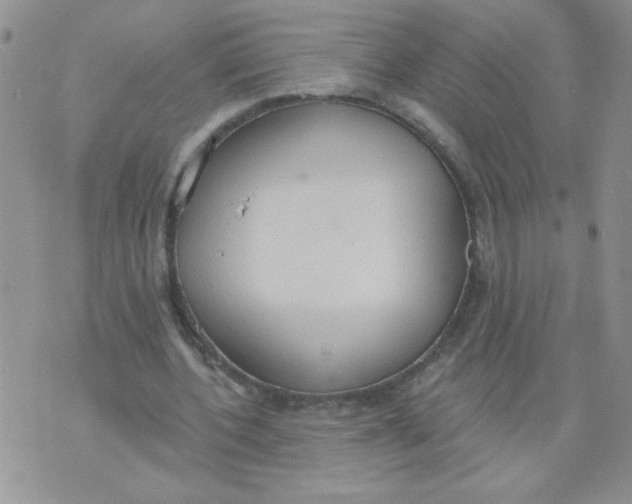 X0000074300532200609151944