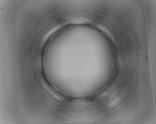 X0000074300535200609151944