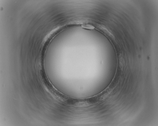 X0000074300536200609151944