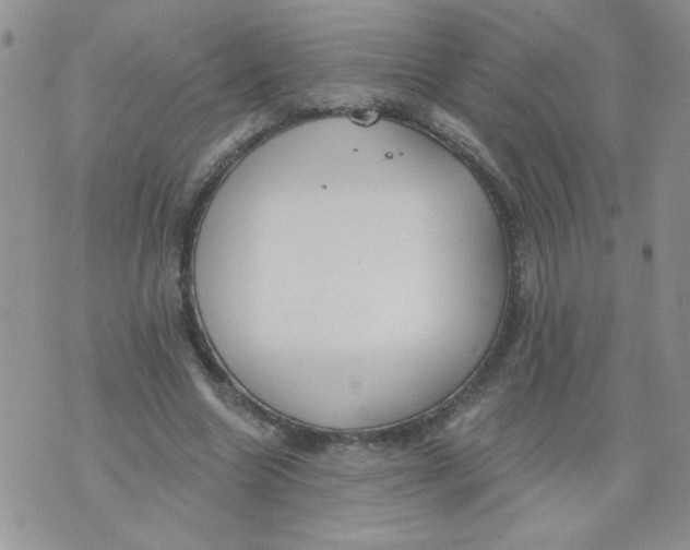 X0000074300538200609151944