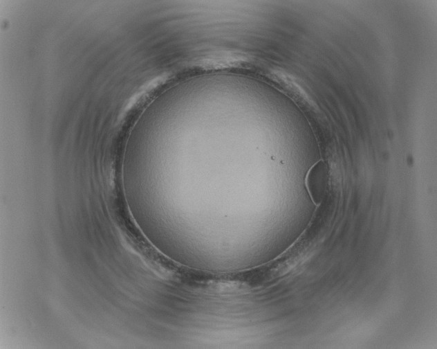 X0000074300539200609151944