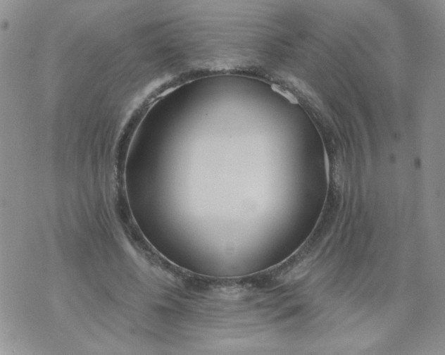 X0000074300540200609151944