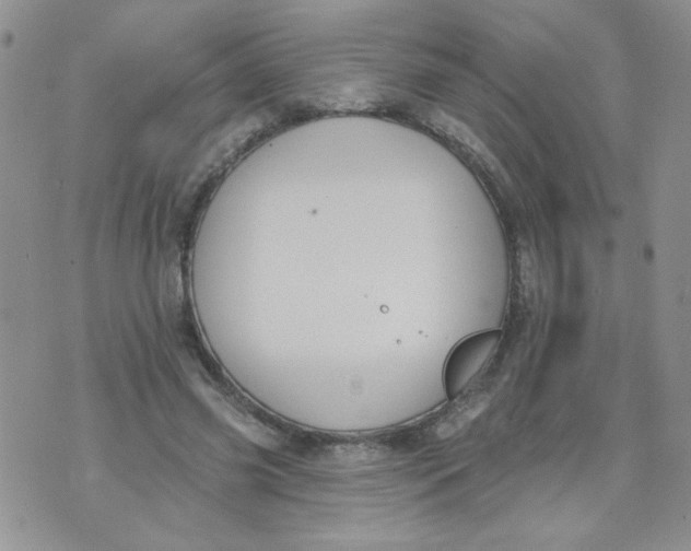 X0000074300541200609151944