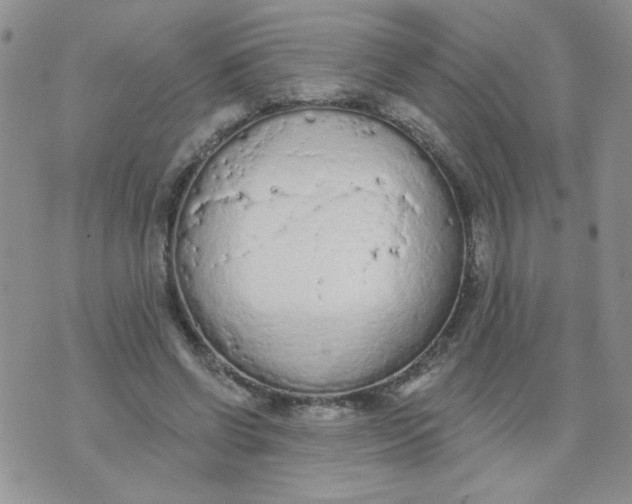 X0000074300542200609151944