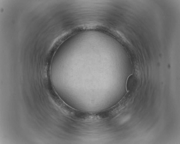 X0000074300543200609151944