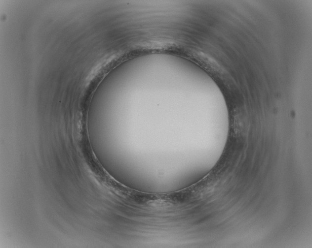 X0000074300544200609151944