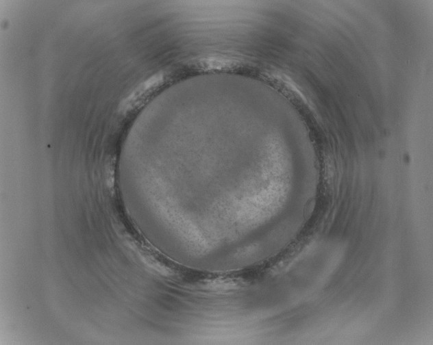 X0000074300545200609151944