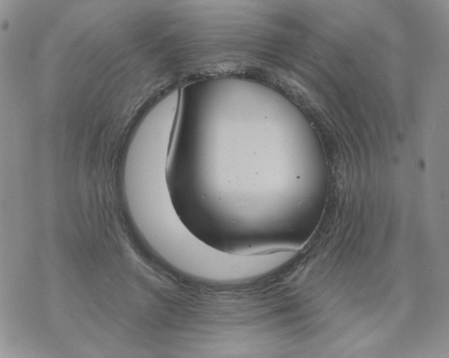 X0000074300546200609151944