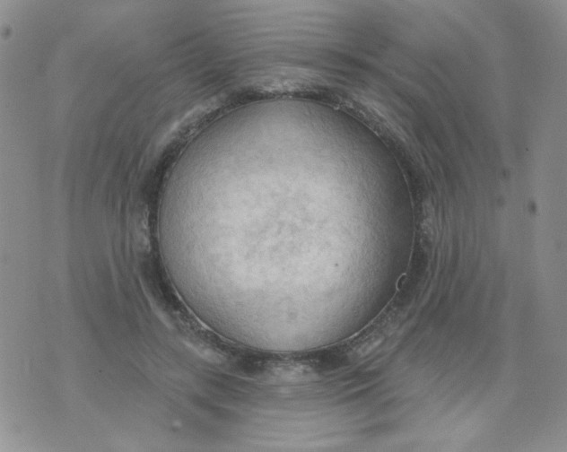 X0000074300547200609151944