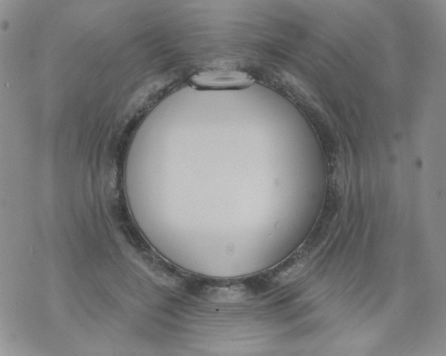 X0000074300548200609151944