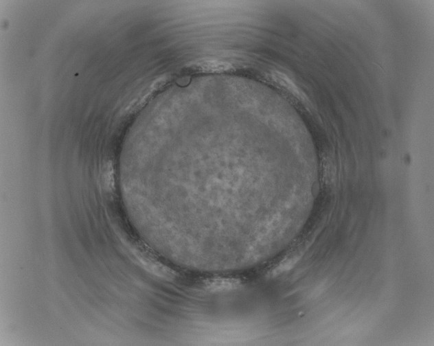 X0000074300549200609151944