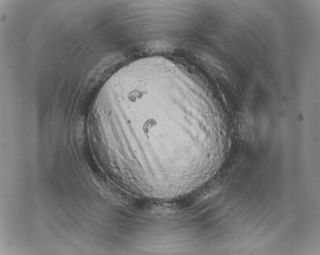 X0000074300550200609151944