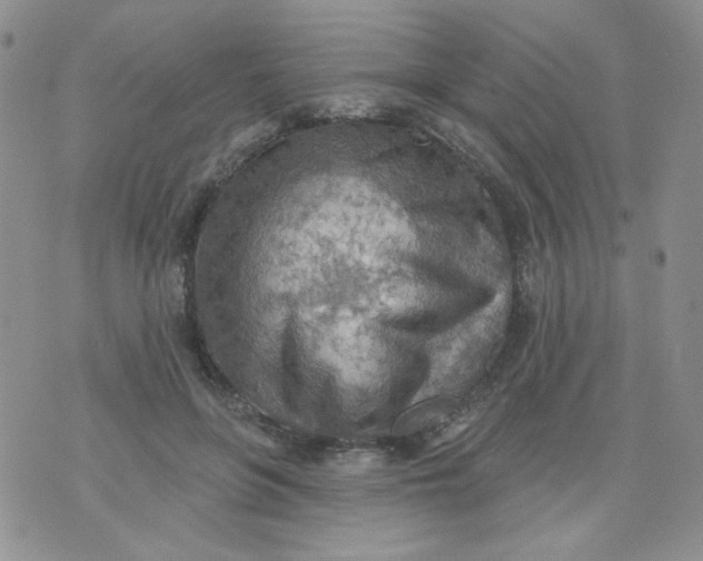 X0000074300551200609151944