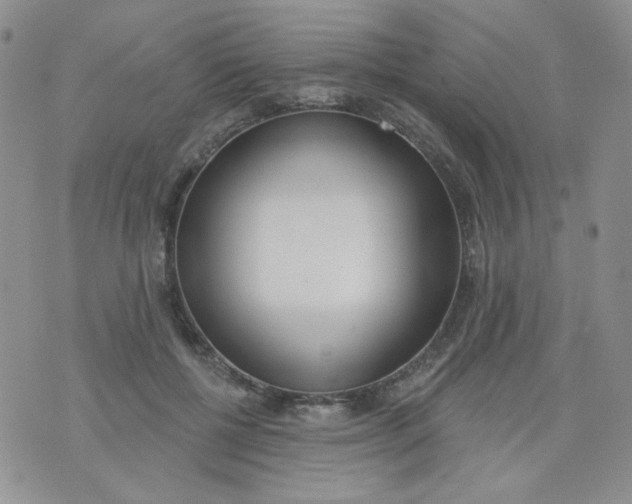 X0000074300552200609151944