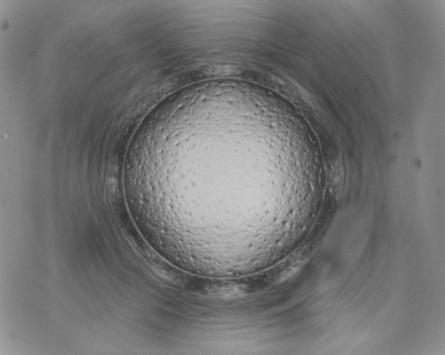 X0000074300553200609151944