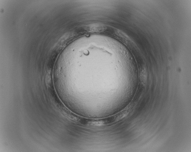 X0000074300554200609151944